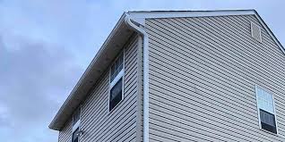 Best Historical Building Siding Restoration  in USA